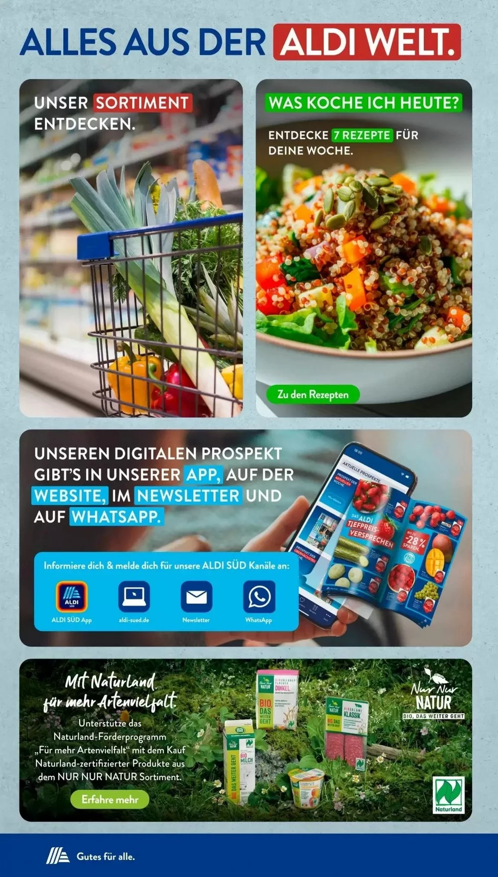 aldi sud prospekt november 10 15 28