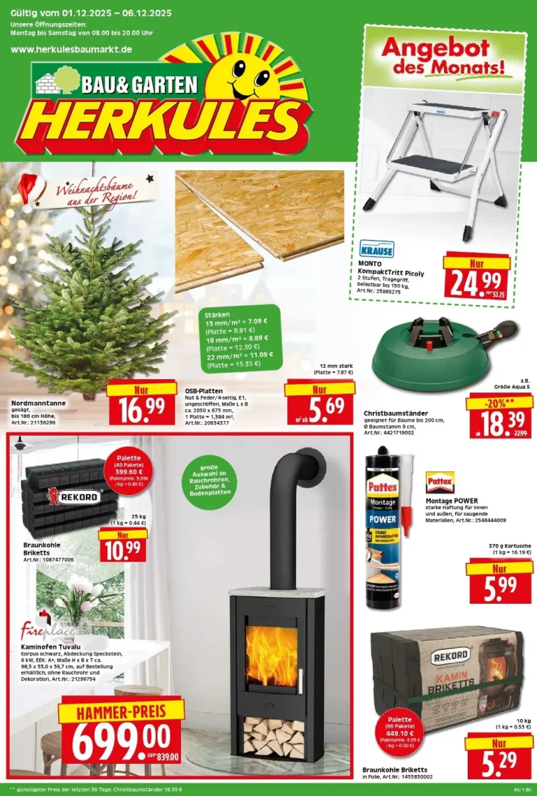 herkules baumarkt prospekt kw49