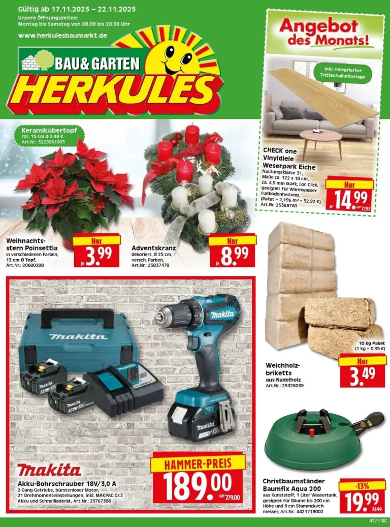 herkules baumarkt prospekt kw48