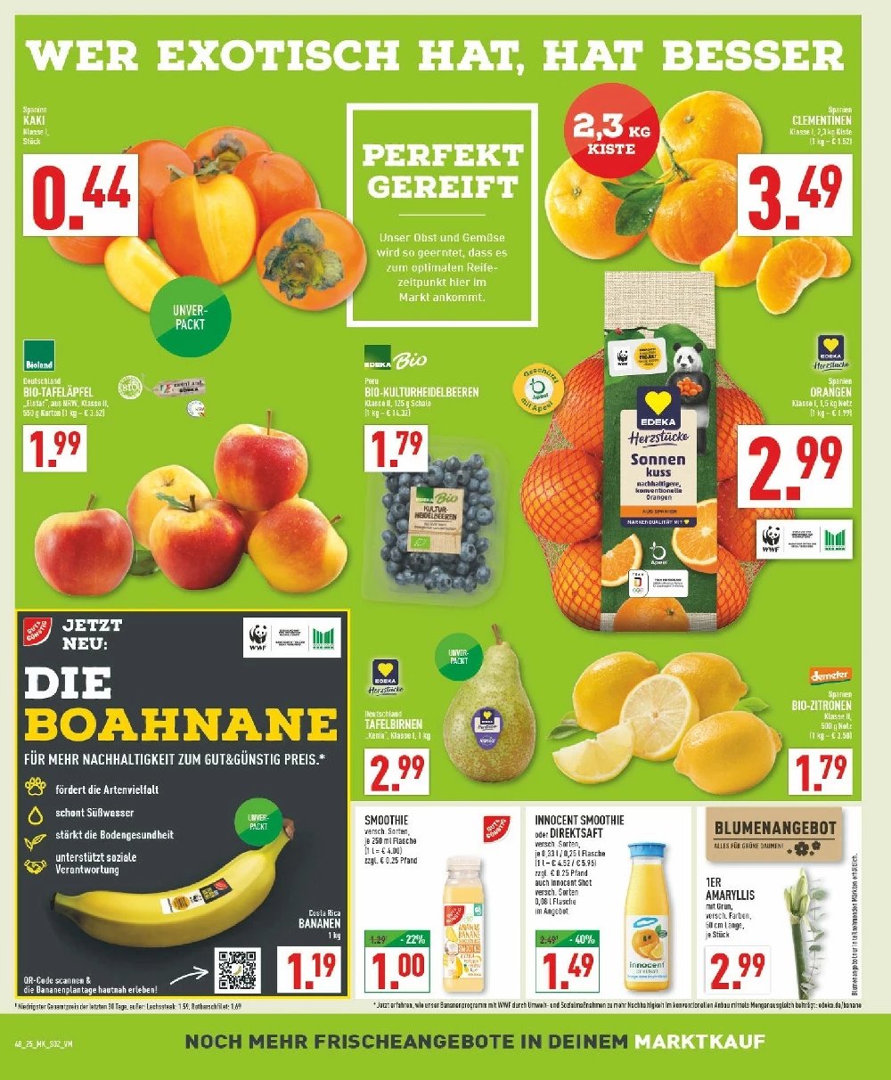 marktkauf prospekt november 24 29 2 28247596