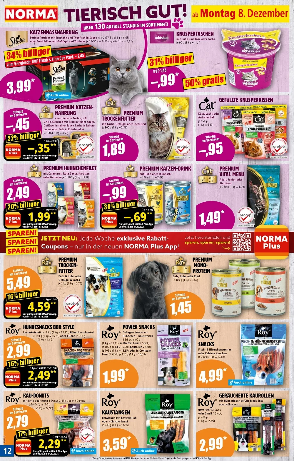 norma prospekt dezember 8 13 12