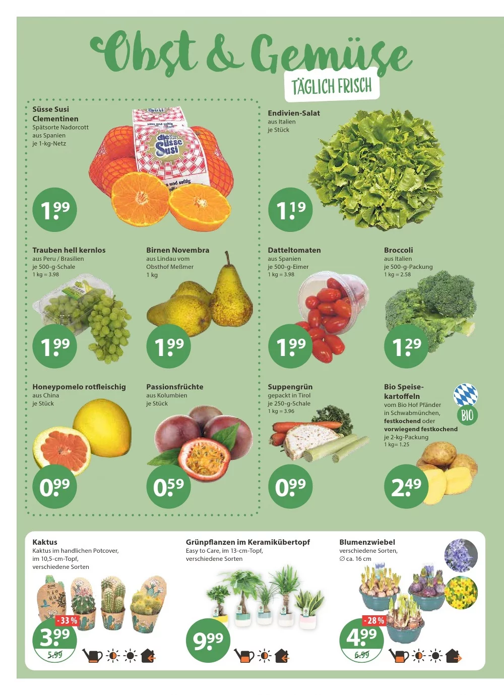 V Markt prospekt januar 15 21 4