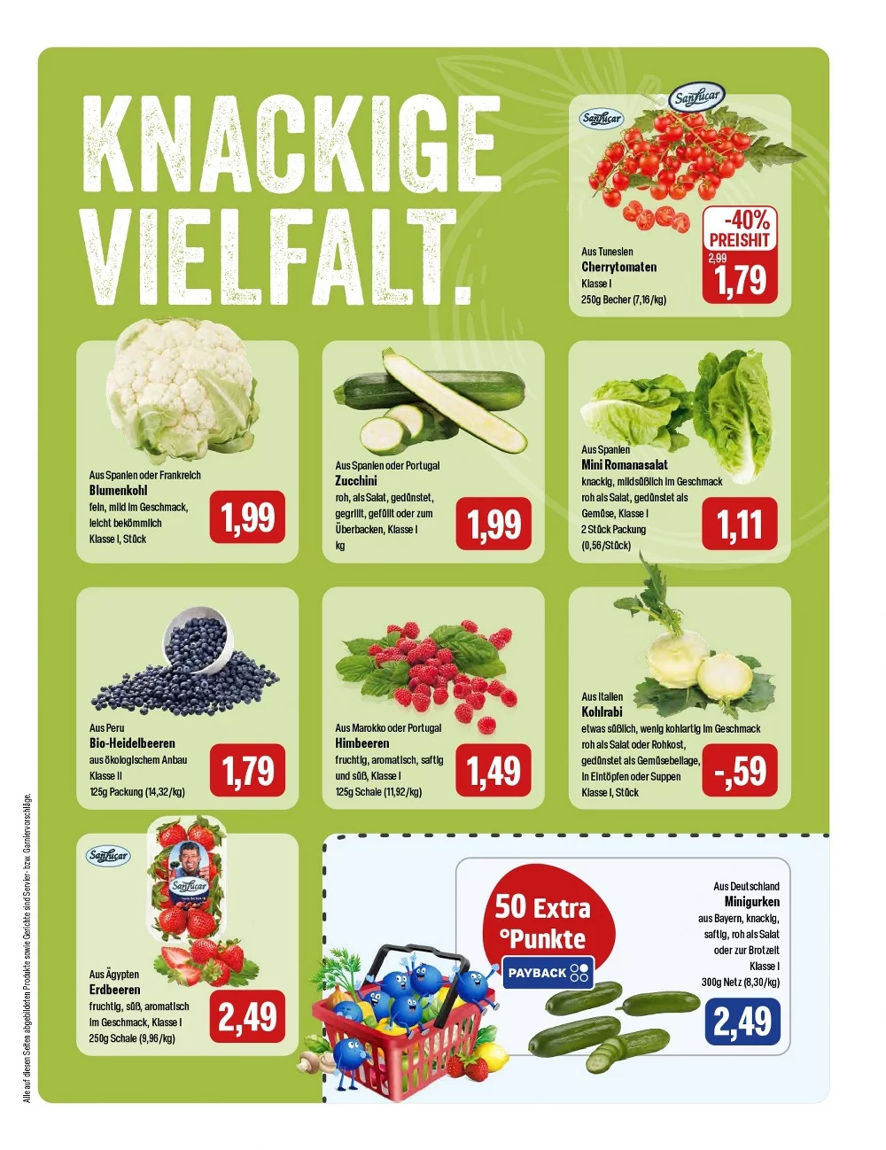 feneberg prospekt januar 15 17 5