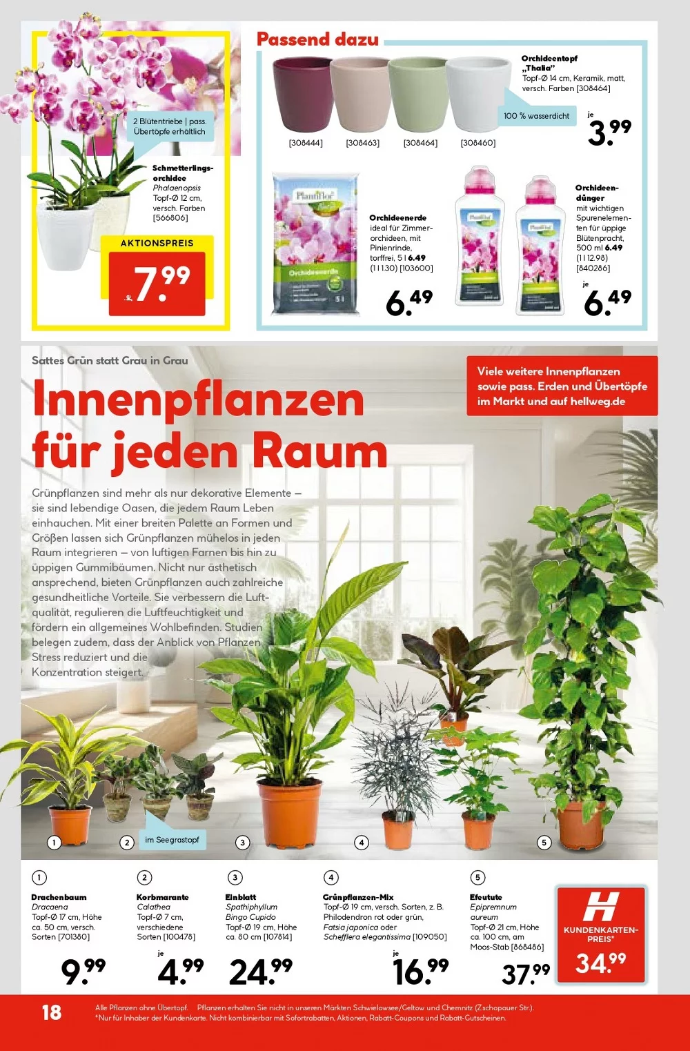 hellweg prospekt kw01 20