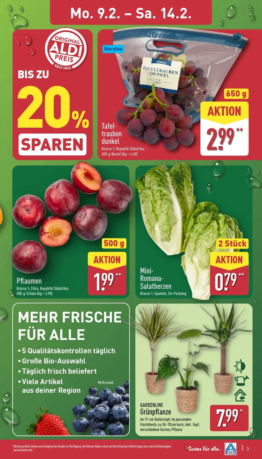 aldi nord prospekt februar 9 14 3