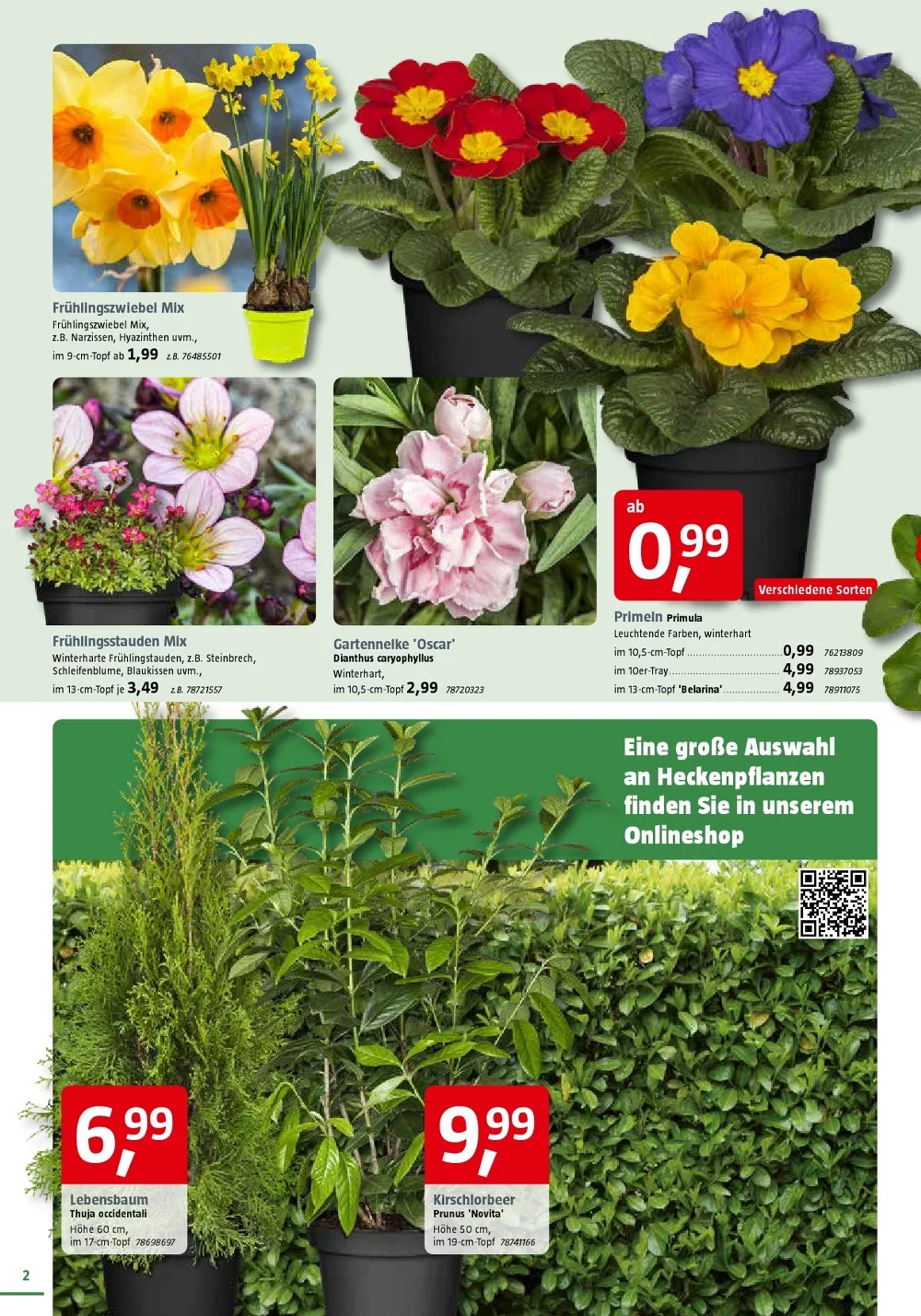 bauhaus prospekt marz 2