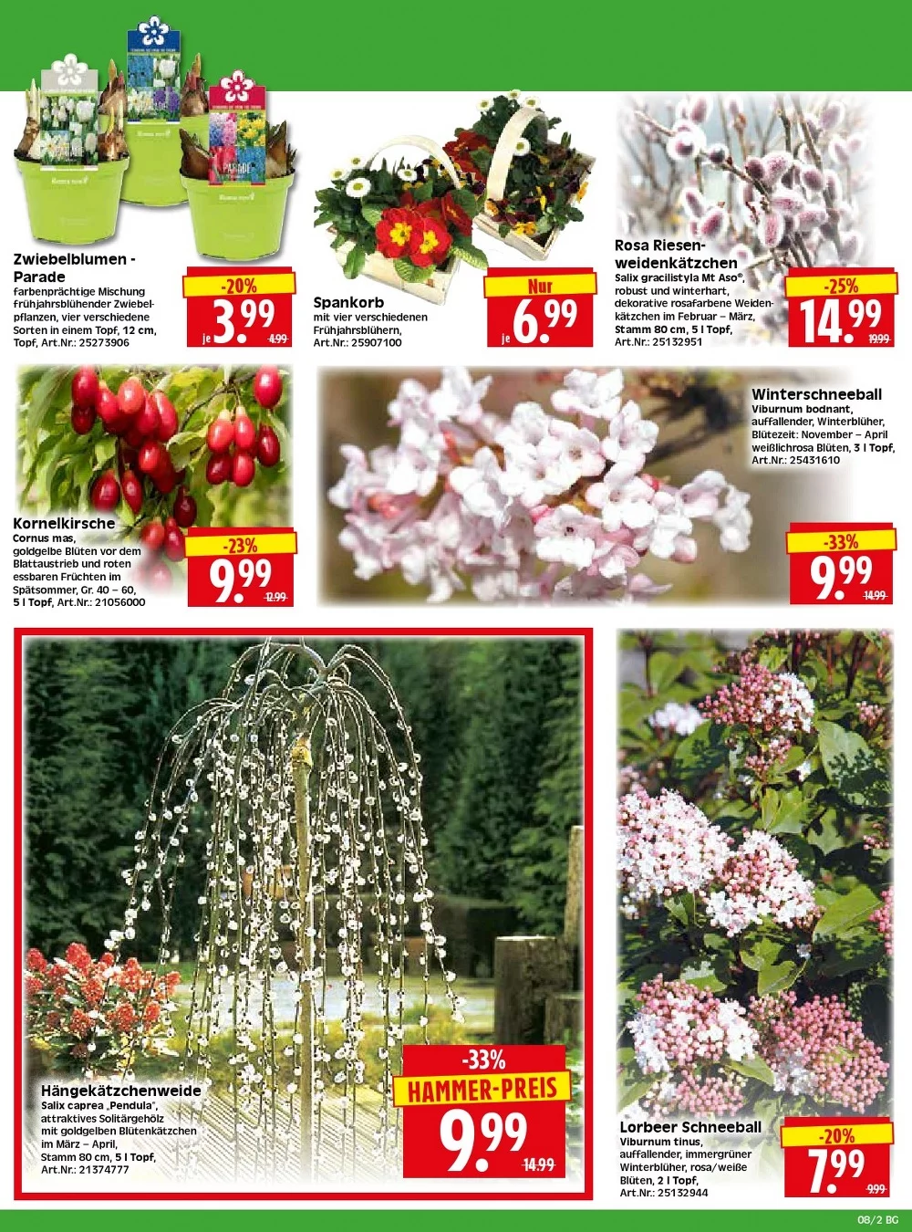 Herkules Baumarkt Prospekt 16.02.2026 bis 21.02.2026 2 herkules baumarkt prospekt februar 16 21 2