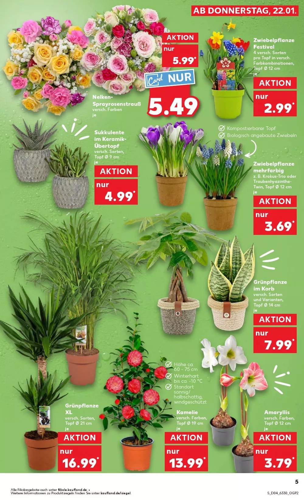 kaufland prospekt januar 22 28 5