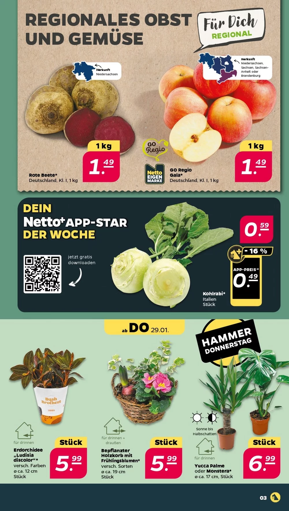 netto prospekt januar 26 31 3