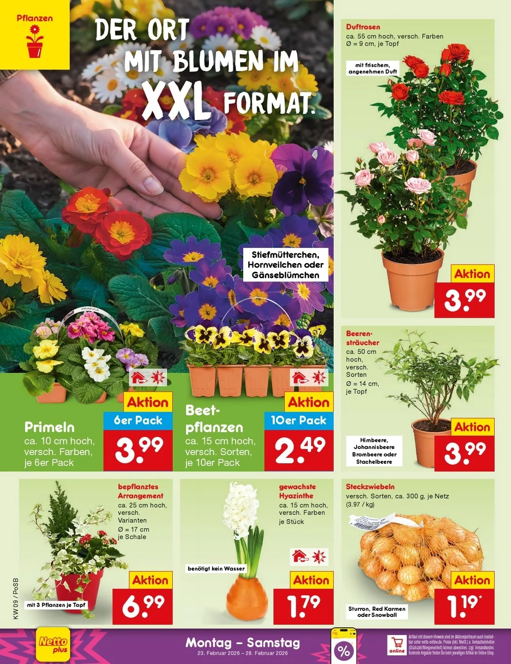 netto marken prospekt februar 2 28 30