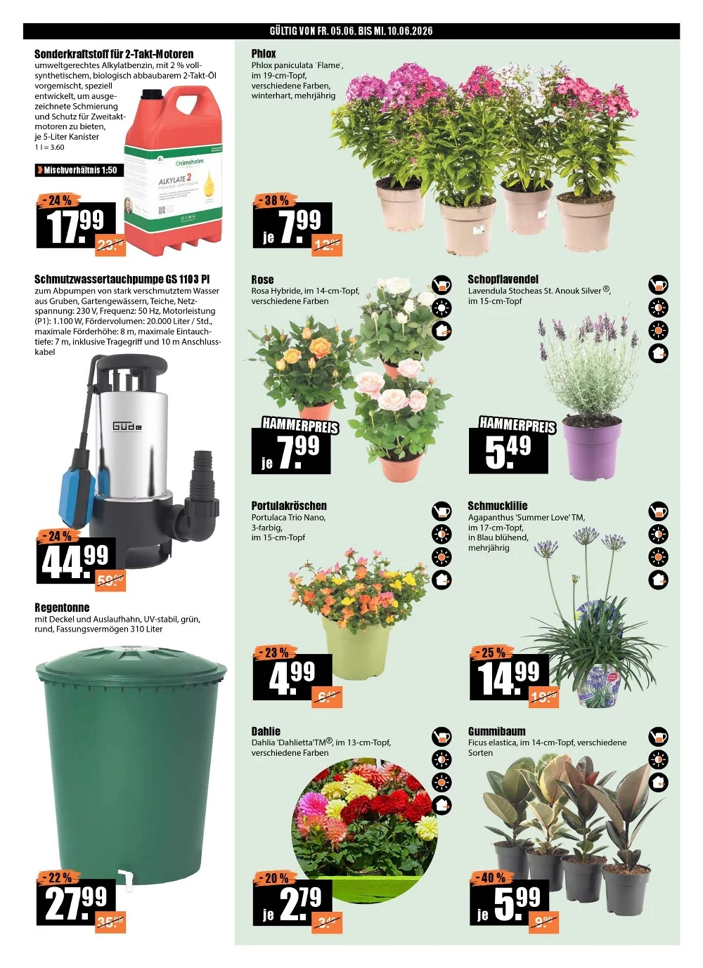 V Baumarkt prospekt juni 5 10 2