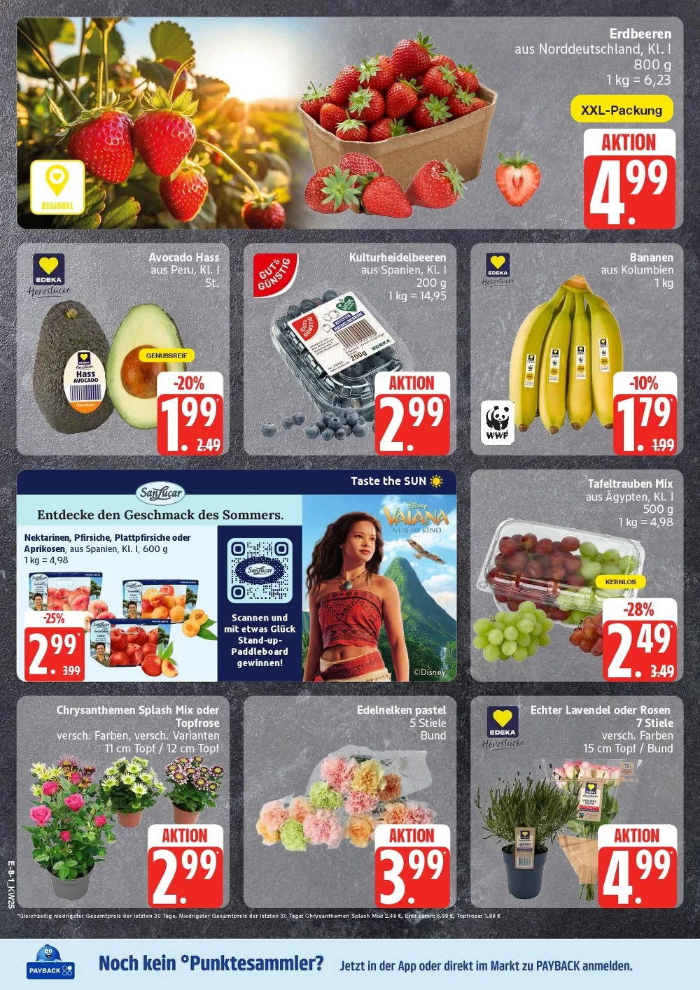 edeka nord prospekt juni 15 20 9