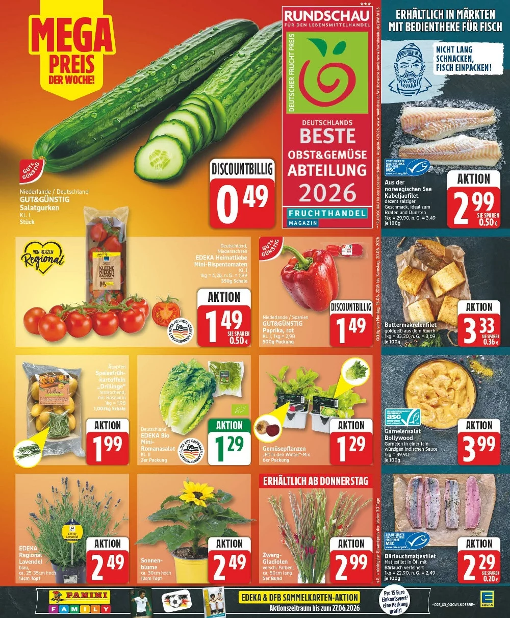 edeka prospekt juni 15 20 3