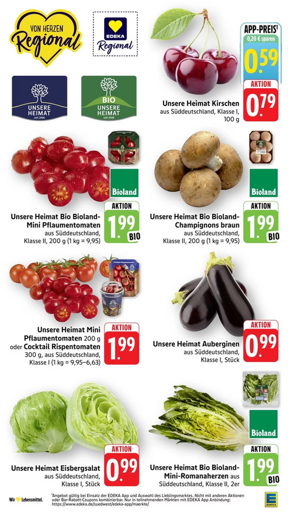 edeka sudwest prospekt juni 8 13 5