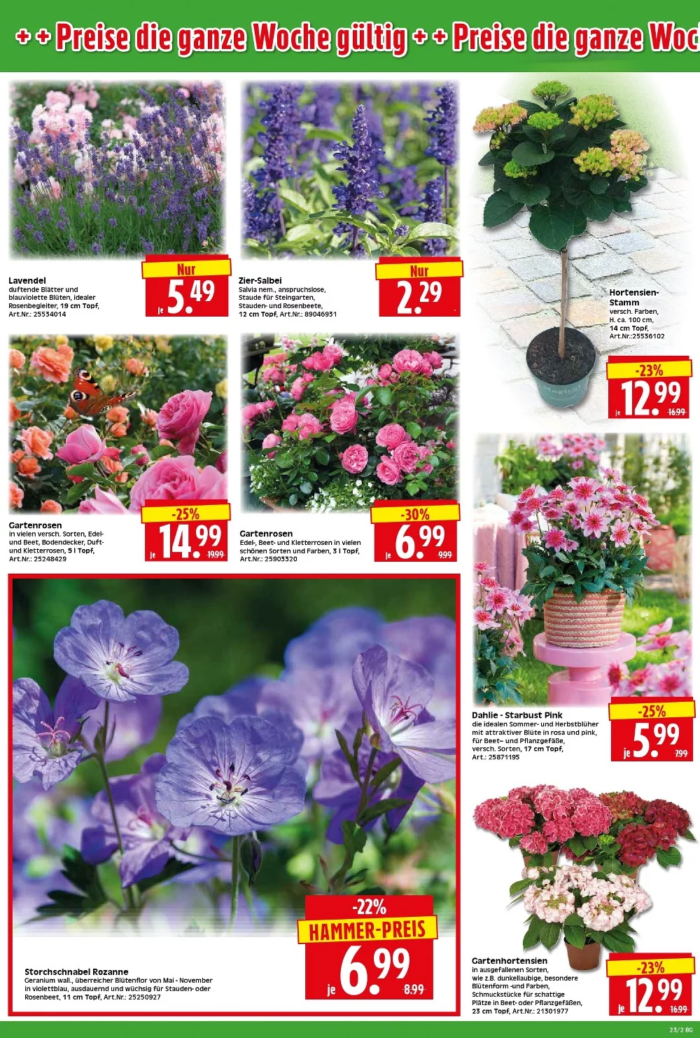 herkules baumarkt prospekt juni 1 6 2