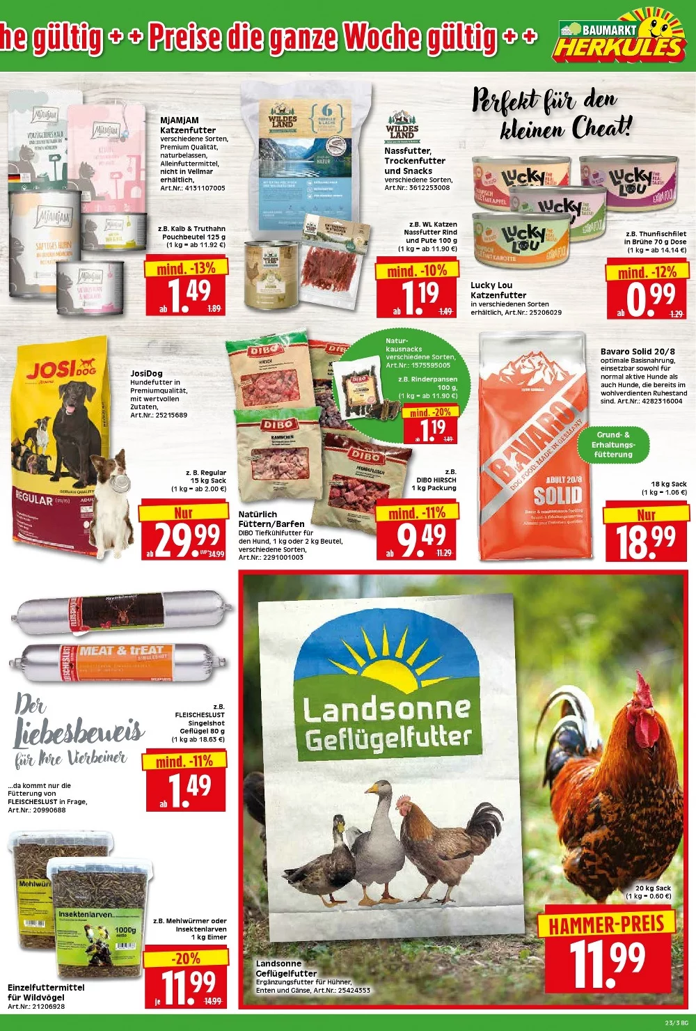 herkules baumarkt prospekt juni 1 6 3