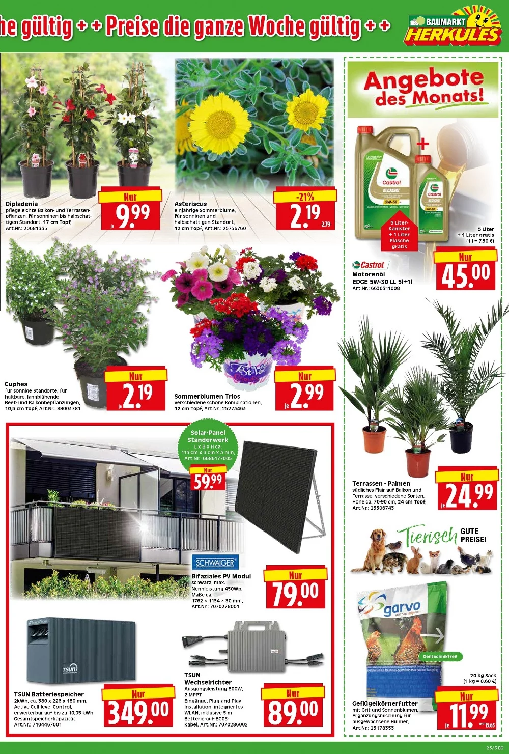 herkules baumarkt prospekt juni 1 6 5