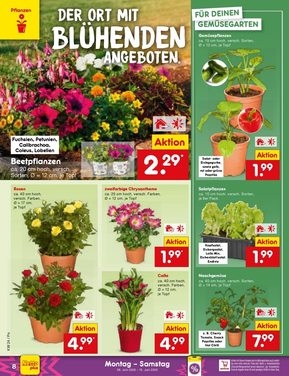 netto marken prospekt juni 8 13 12