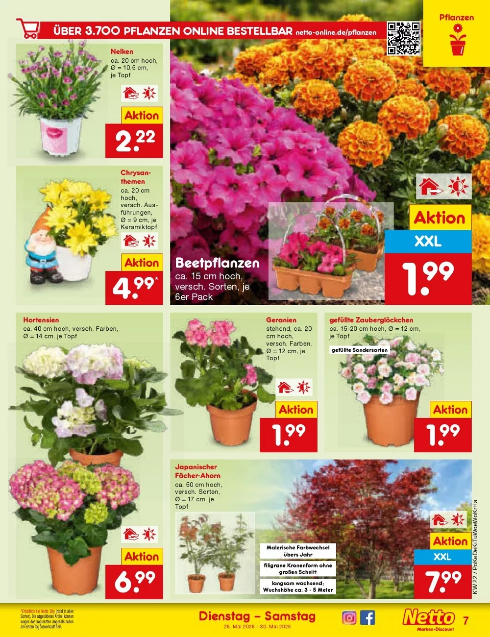 netto marken prospekt mai 26 30 9