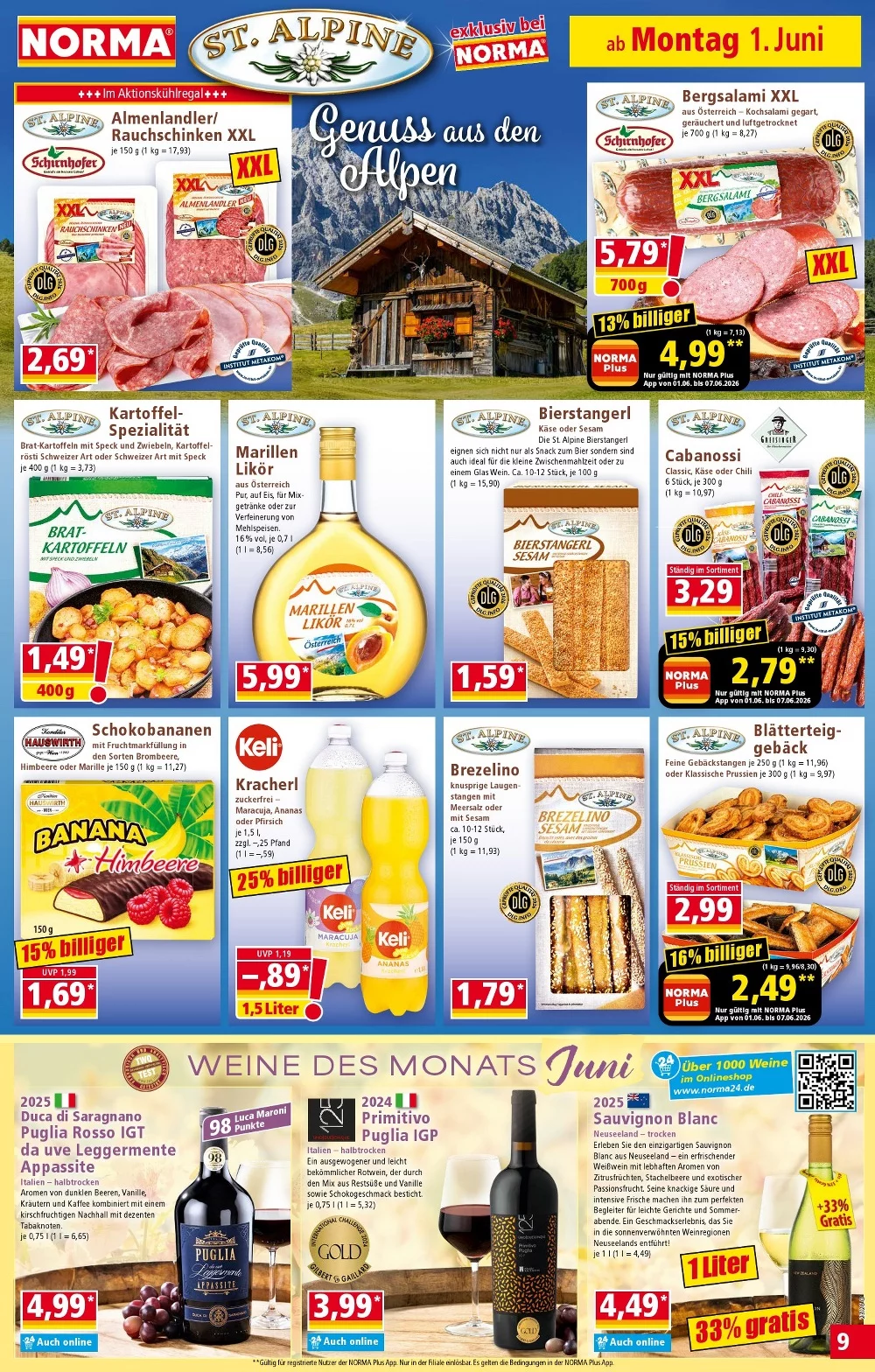 norma prospekt juni 1 6 9