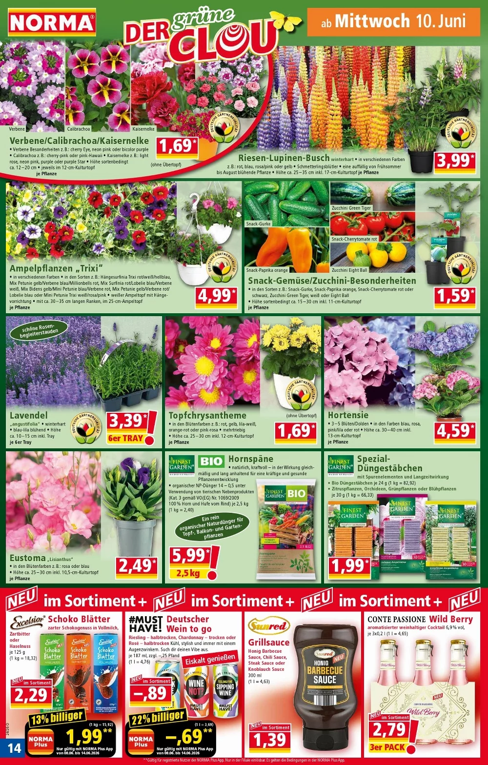 norma prospekt juni 8 13 14