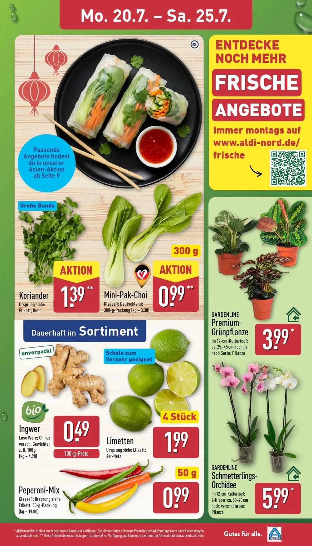 aldi nord prospekt juli 20 26 3