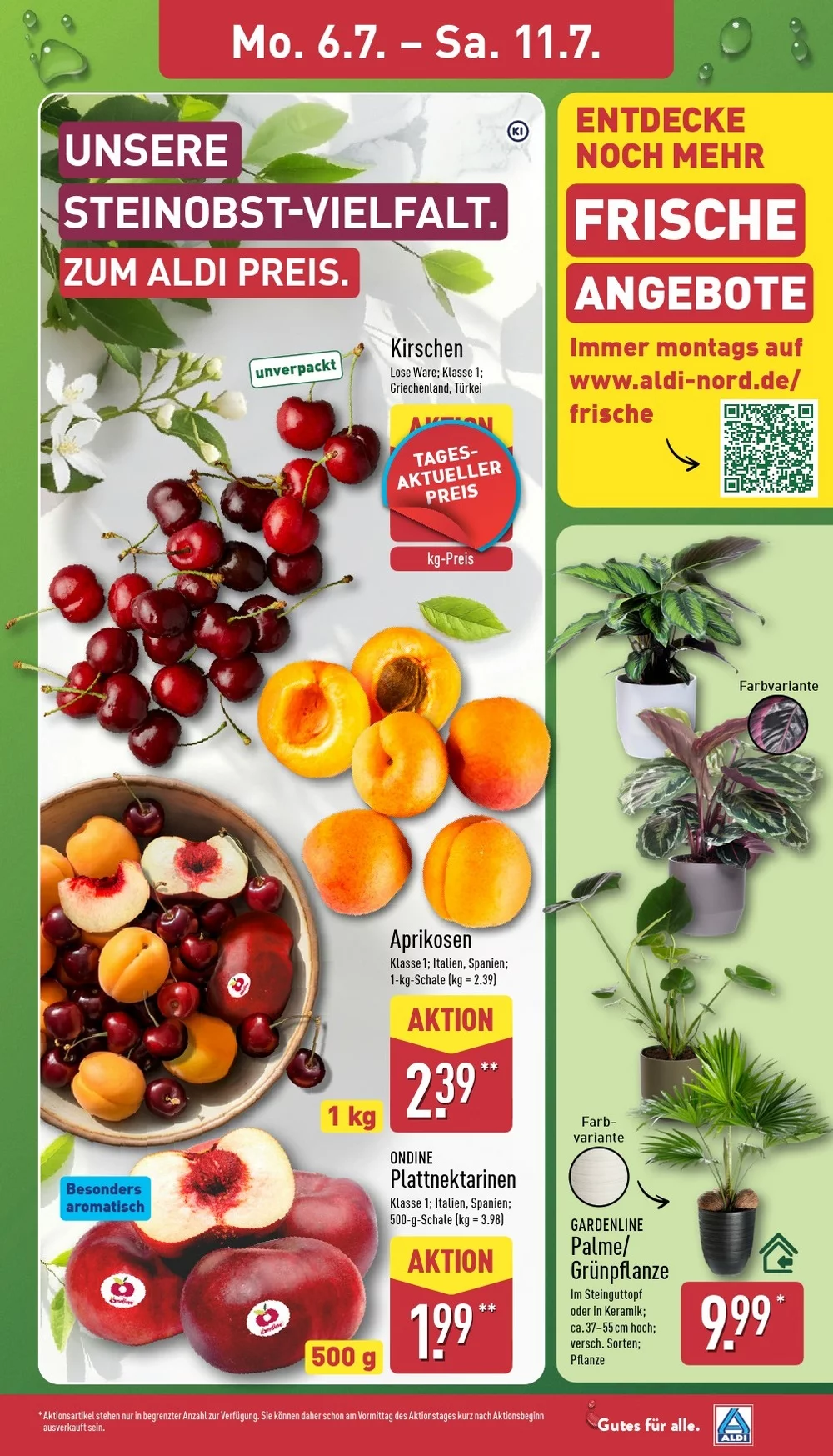 aldi nord prospekt juli 6 11 3