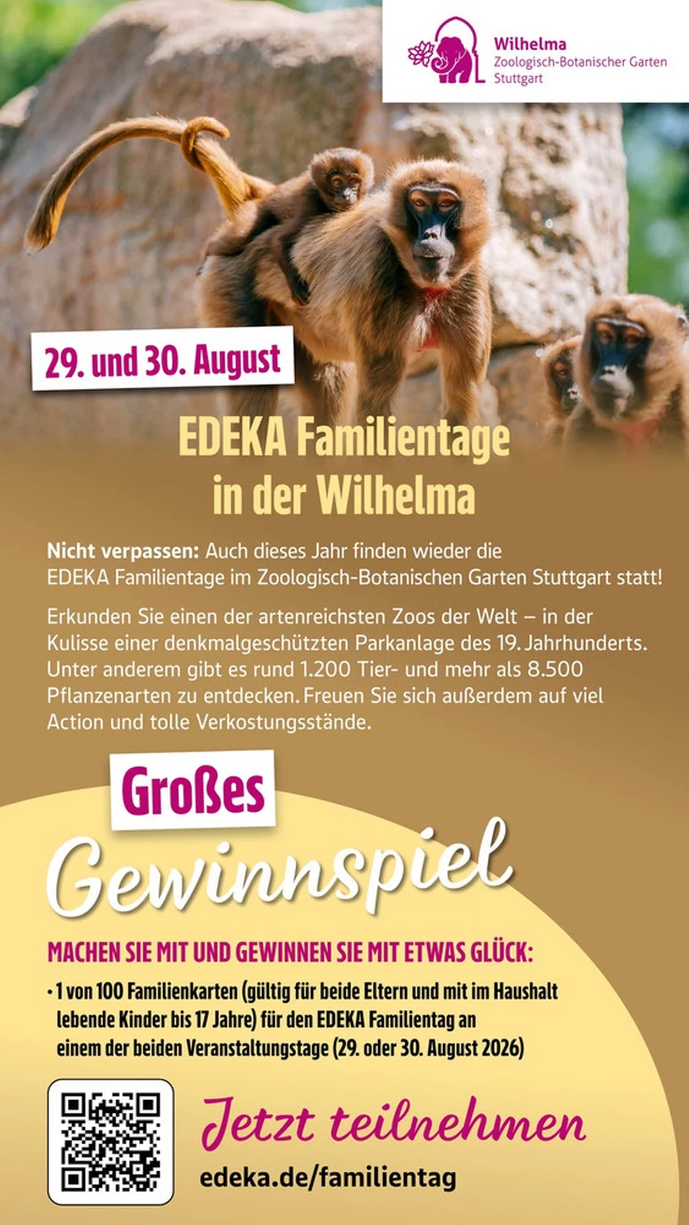 edeka sudwest prospekt juli 13 18 47