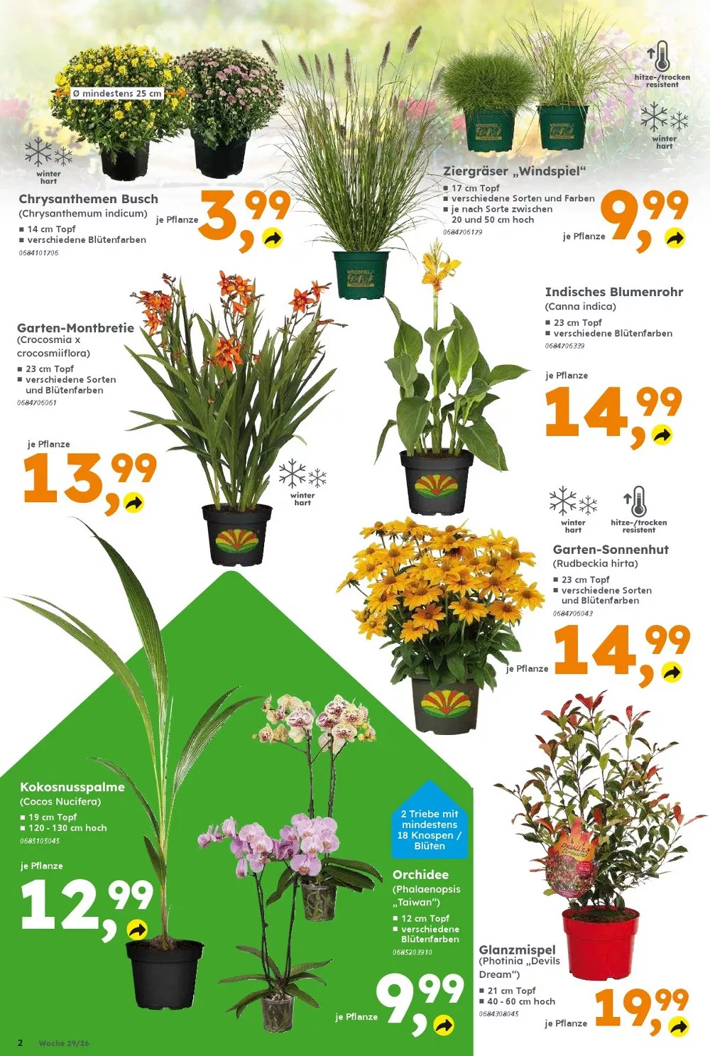 Globus Baumarkt Prospekt 13.07.2026 bis 18.07.2026 2 globus baumarkt prospekt juli 13 18 2