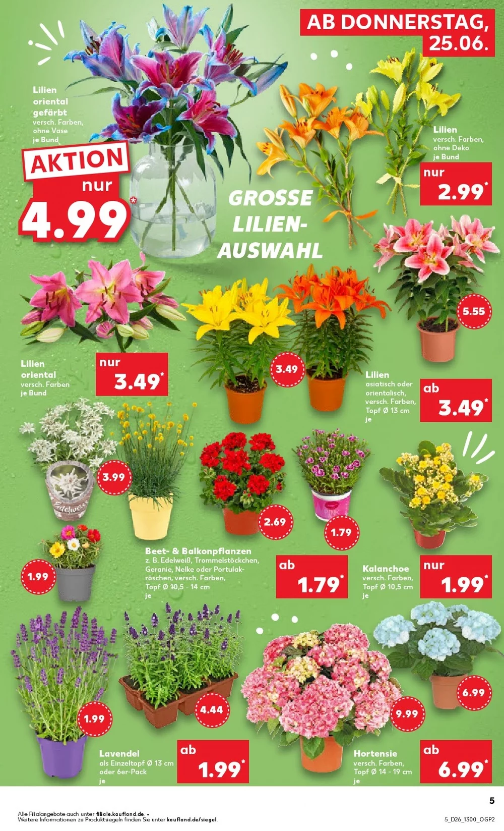 kaufland prosoekt juni 25 juli 1 5