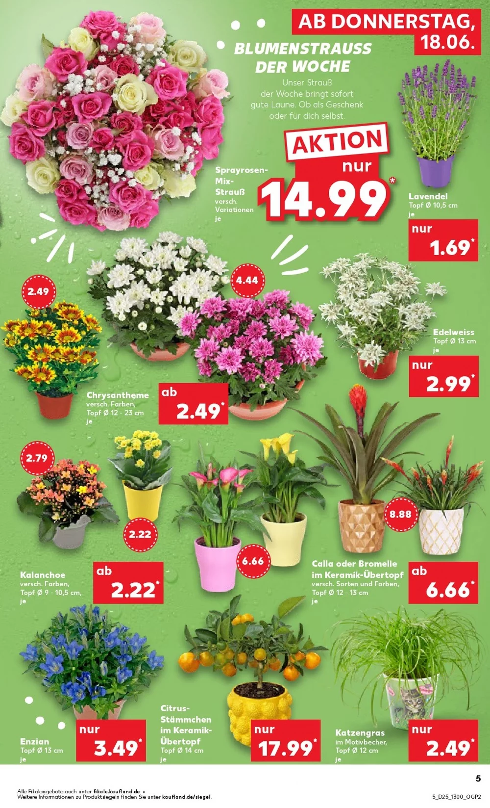kaufland prospekt juni 18 24 5