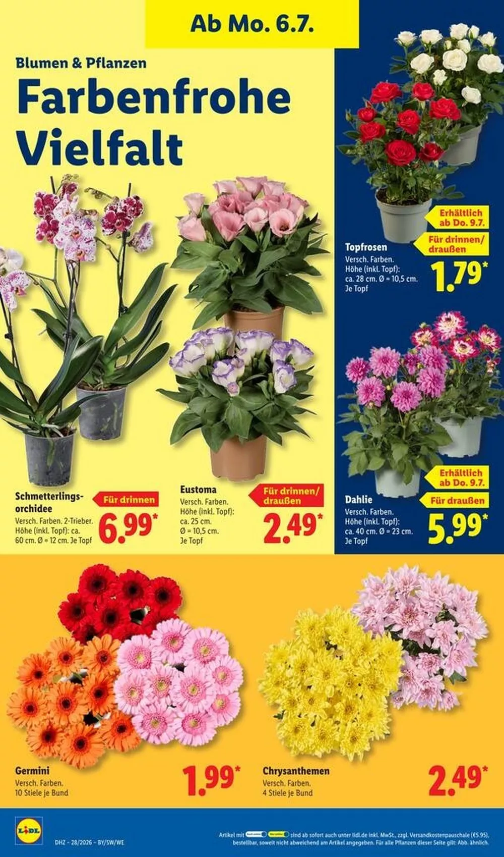 lidl prospekt juli 6 11 neu 22 51591911