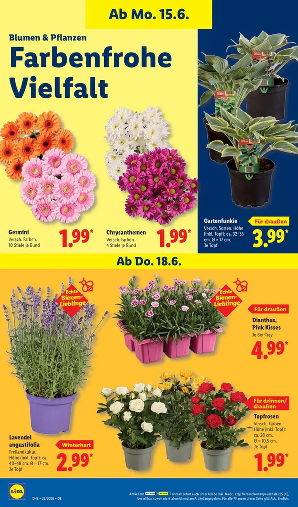lidl prospekt juni 15 20 74 22398061