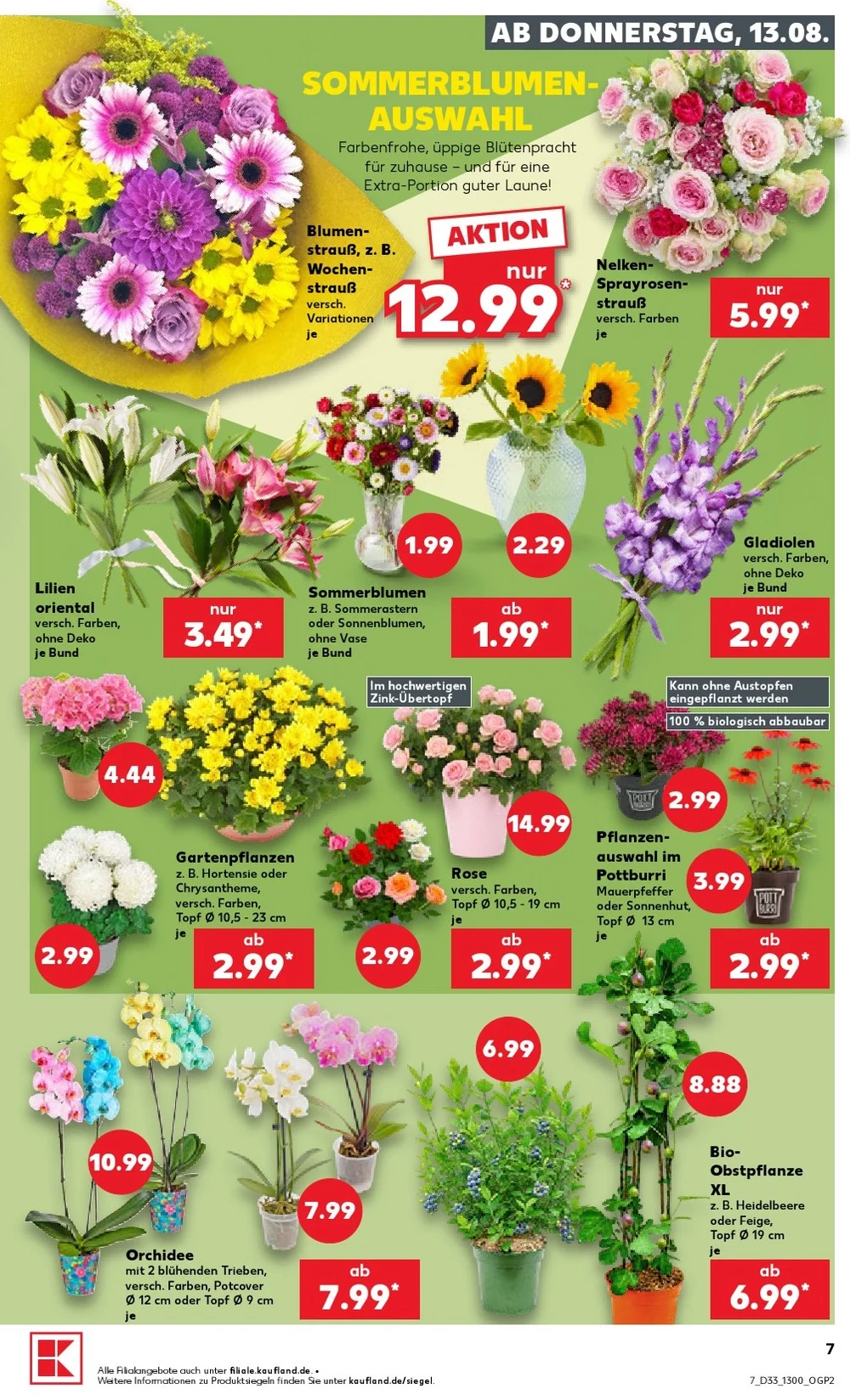 kaufland prospekt august 13 19 7