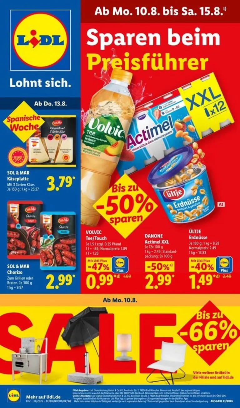 lidl prospekt kw33