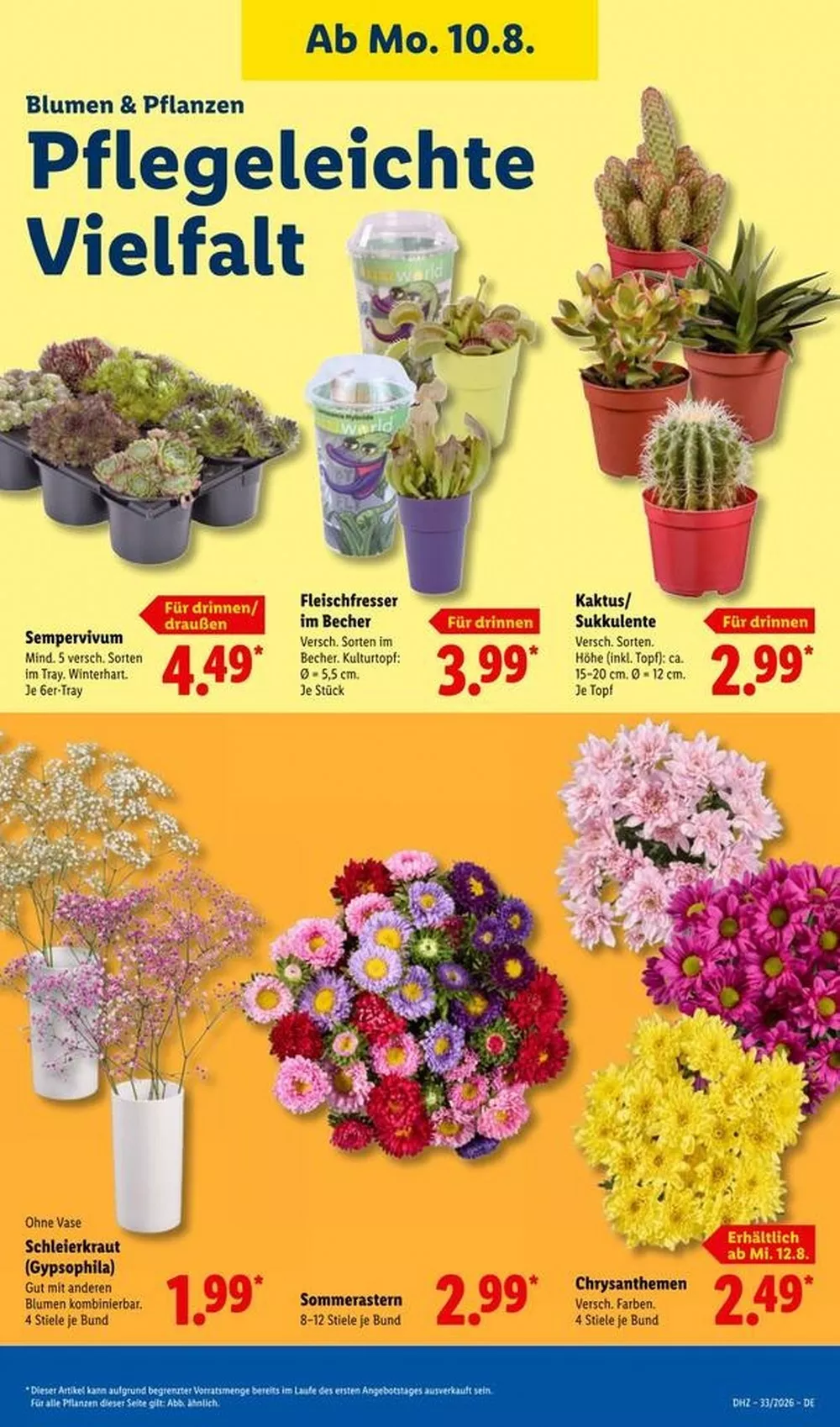 lidl prospekt august 10 15 23 17739512