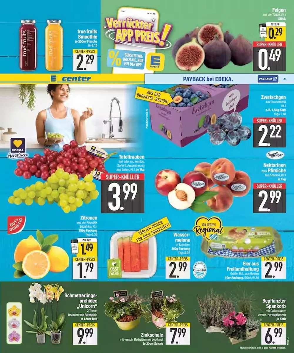 e center prospekt kw 36 3 70950412