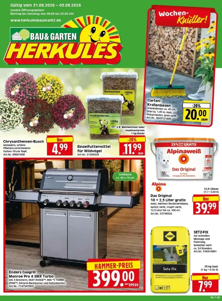 herkules baumarkt prospekt kw-36
