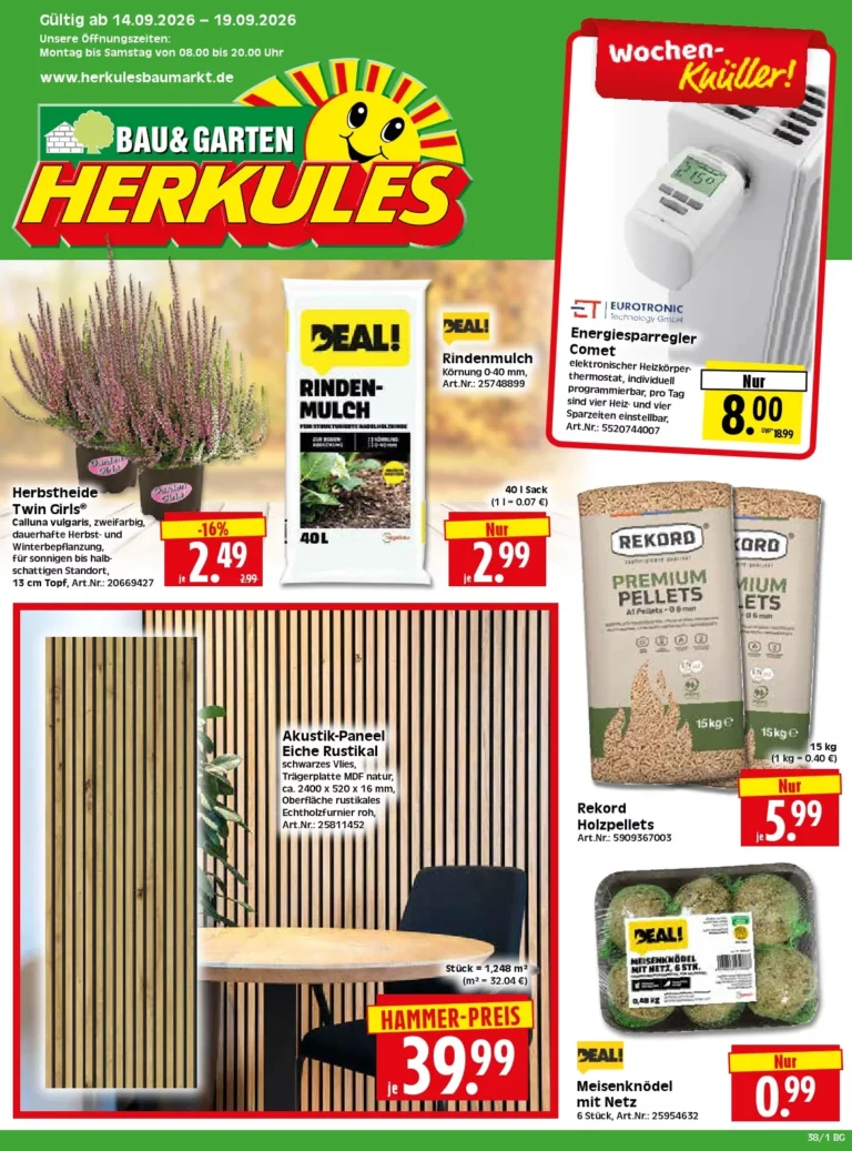 herkules baumarkt prospekt kw-38