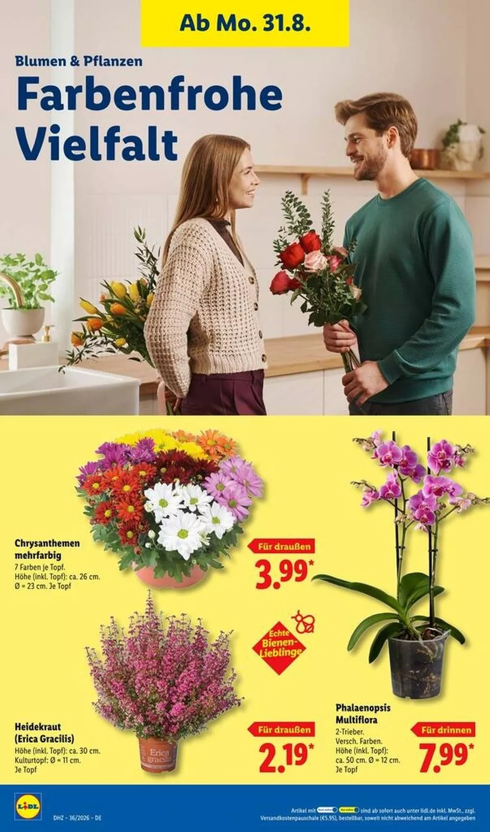 lidl prospekt agu 31 sep 5 26 58984041