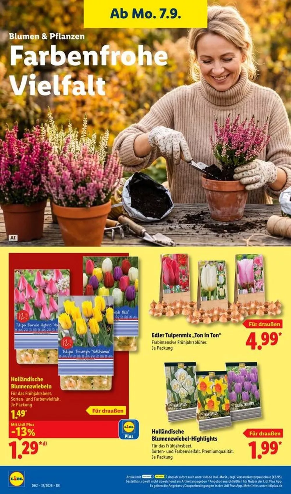 lidl prospekt kw 37 26 41622374