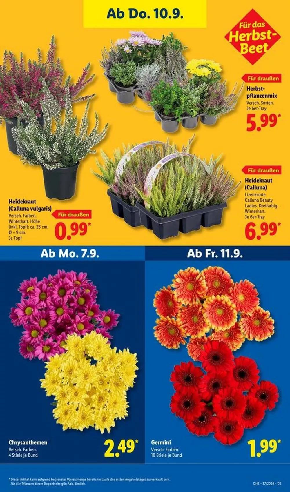 lidl prospekt kw 37 27 97605240