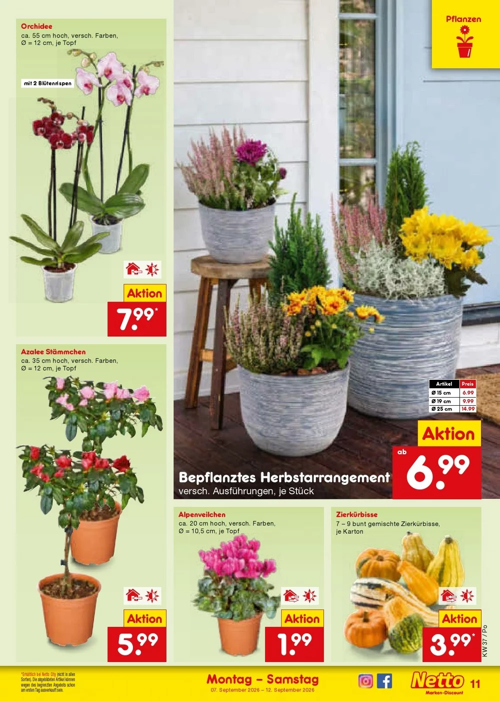 netto marken folder week 37 17
