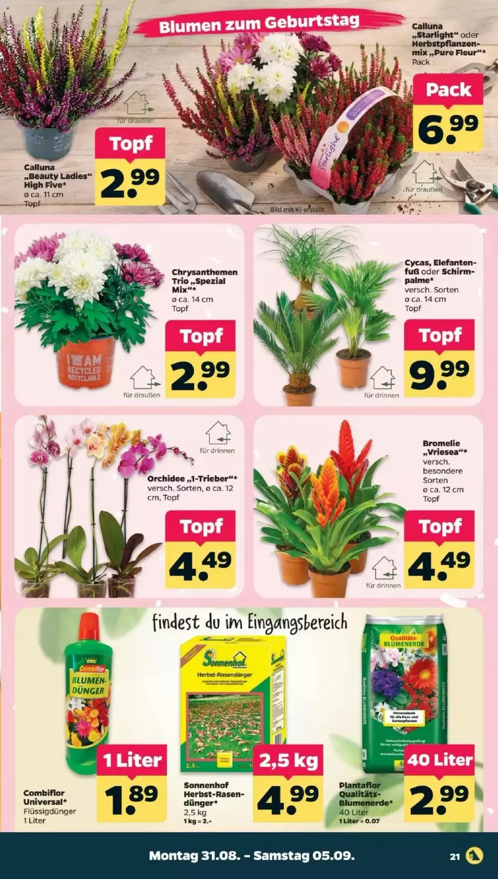 netto prospekt august 31 september 5 22