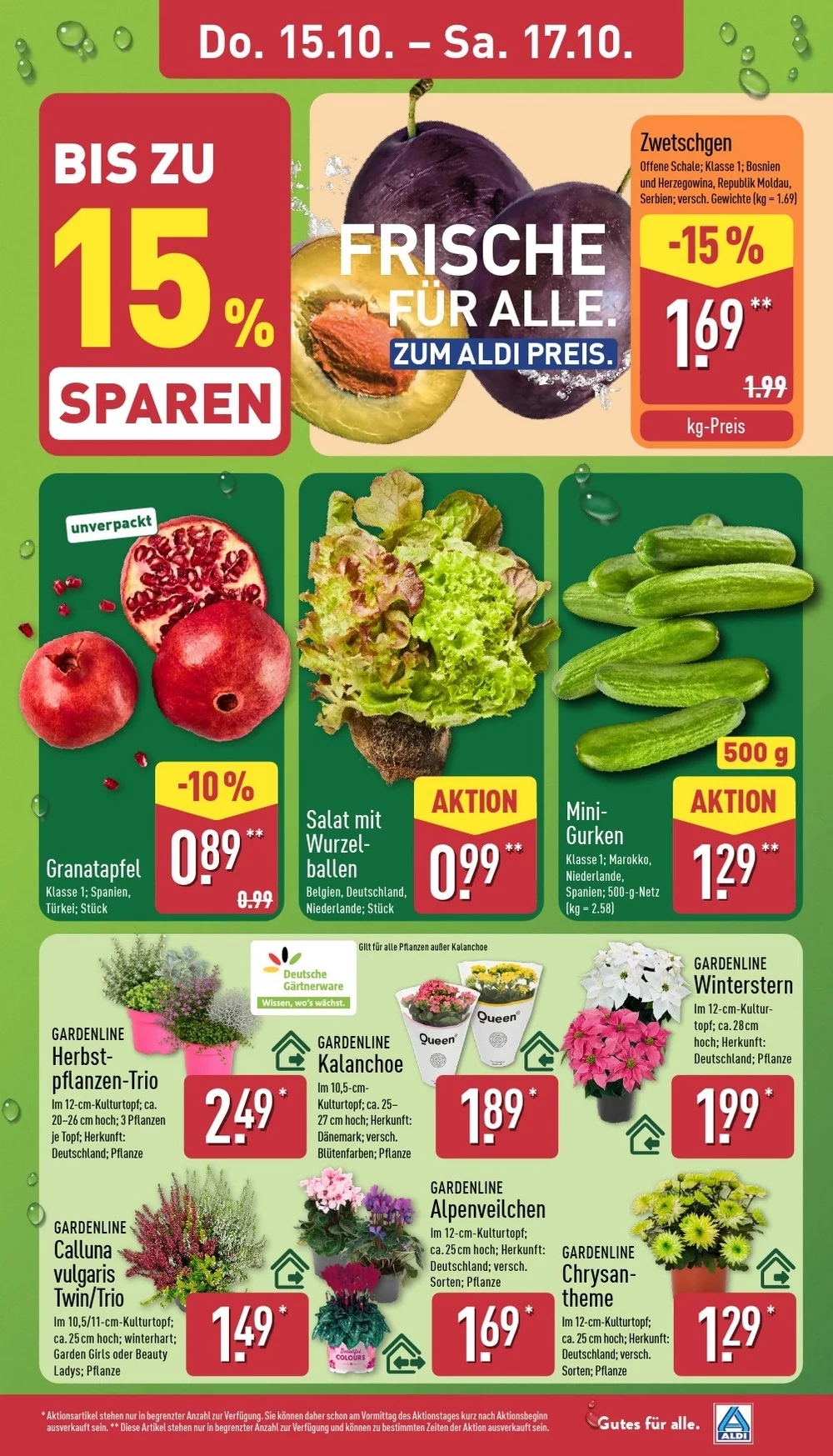 aldi nord prospekt oktober 12 17 29