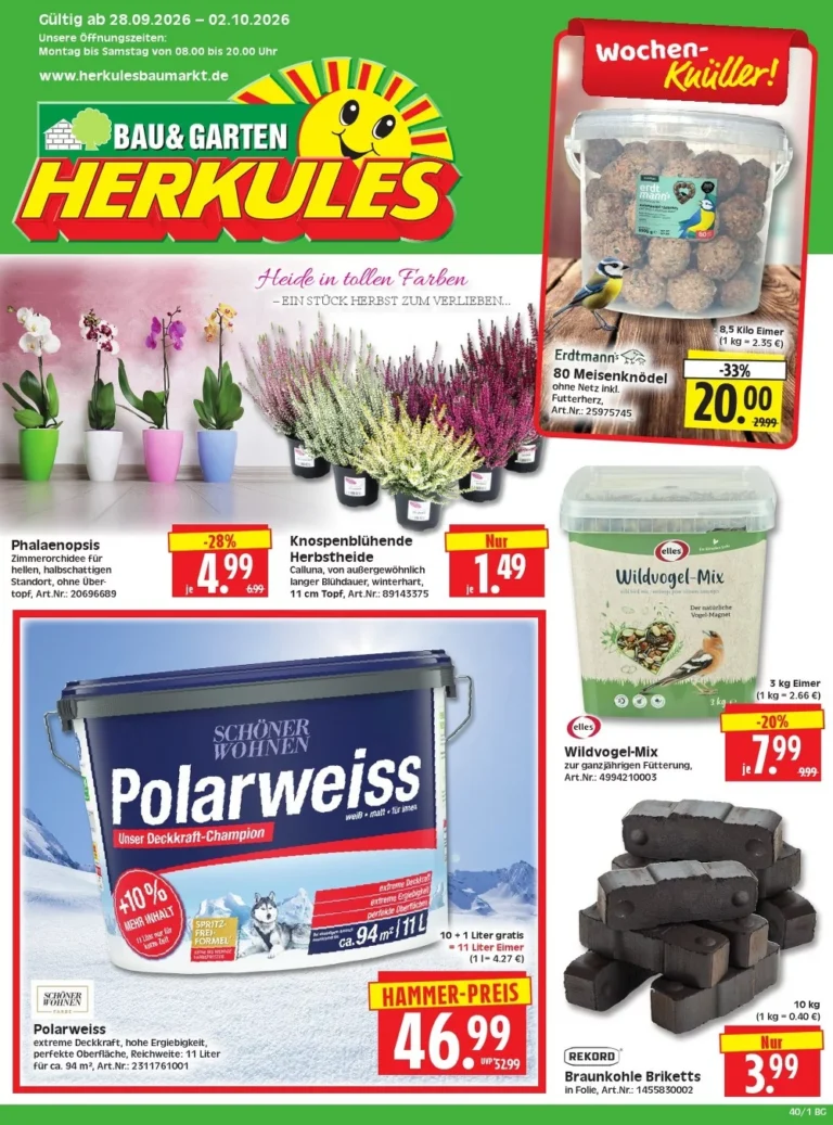 herkules baumarkt prospekt kw-40