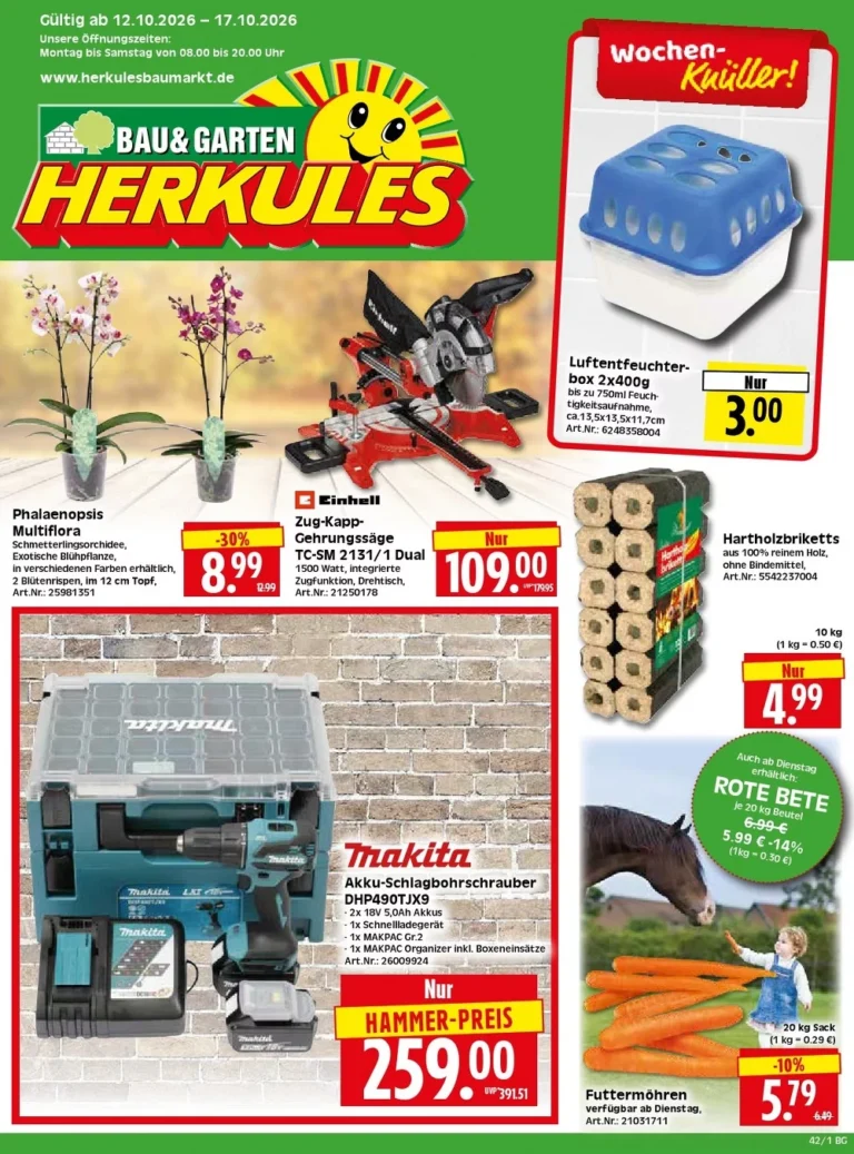 herkules baumarkt prospekt kw-42
