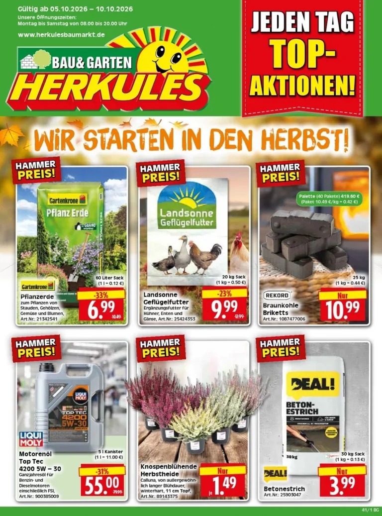 herkules baumarkt prospekt kw 41