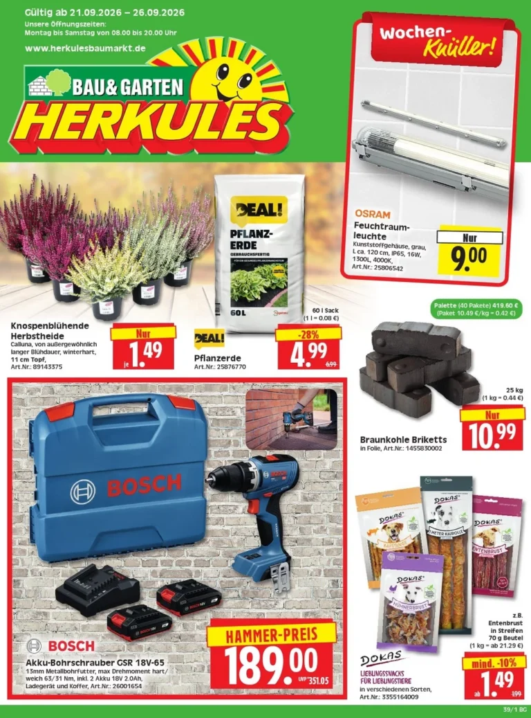 herkules baumarkt prospekt kw-39
