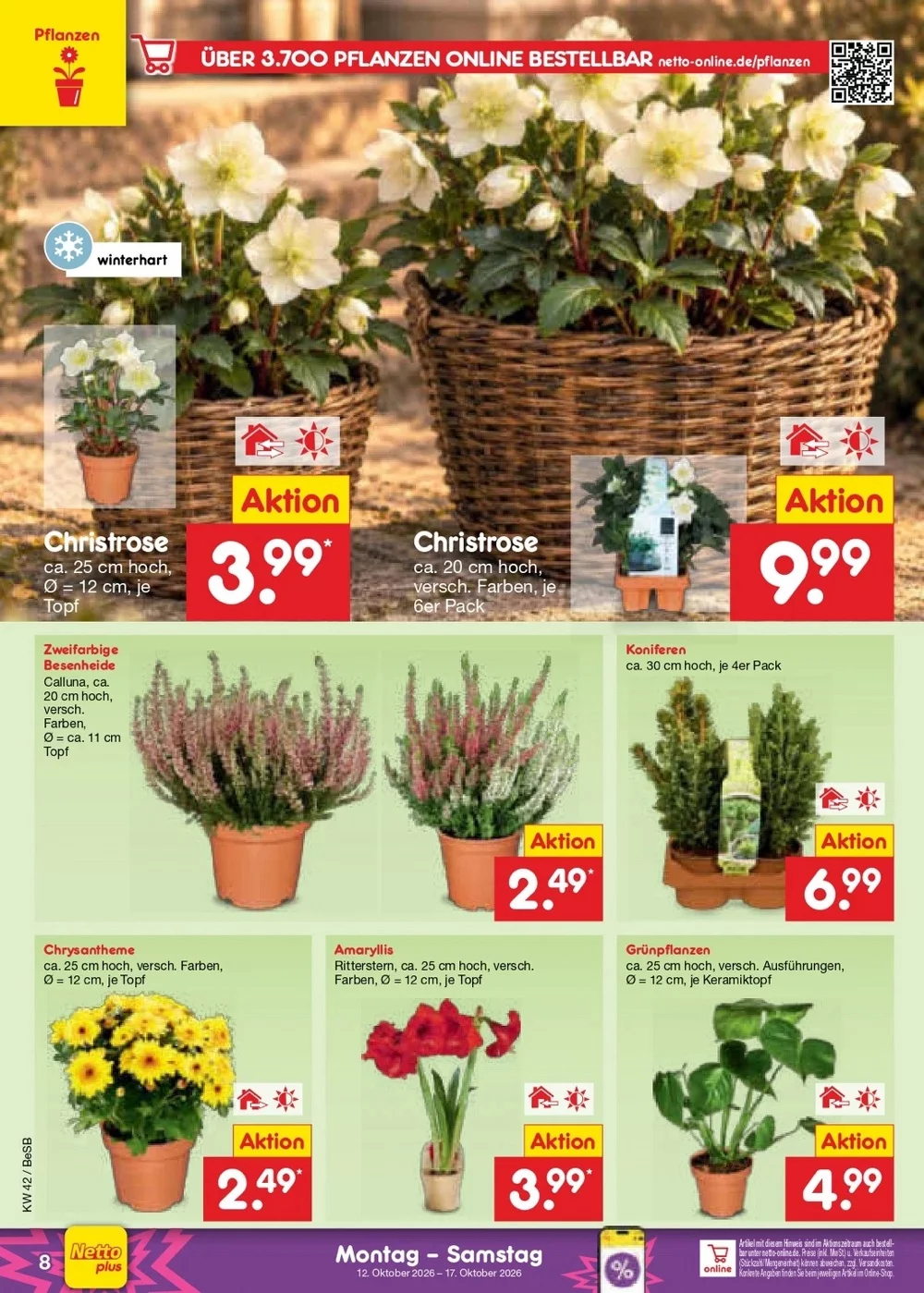 netto marken prospekt oktober 12 17 10